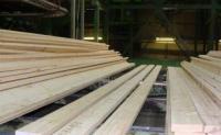 俄羅斯烘干板材樟子松 建筑建材領域的優選材料與全球采購指南