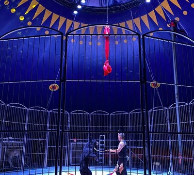 皇家馬戲團(tuán)表演租賃專業(yè)馬戲團(tuán)表演的秘密揭秘