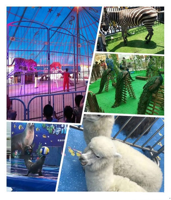 興安盟馬戲團表演租賃狗熊雜技表演