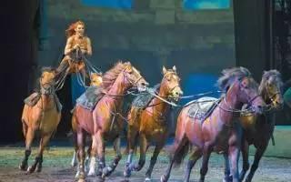 錯過了《戰馬》?沒關系,還有馮小剛夫婦挺的《舞馬》!