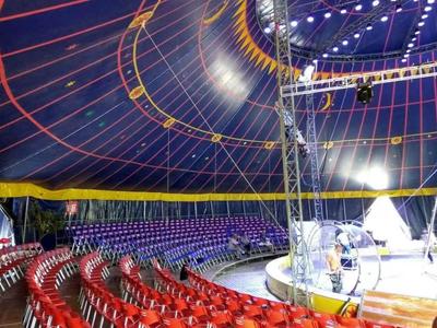 馬戲團表演 正規雜技馬戲團