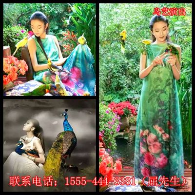 云南迪慶藏族自治州維西傈僳族自治縣出租企鵝_山東誠(chéng)信動(dòng)物租賃 - 商國(guó)互聯(lián)網(wǎng)