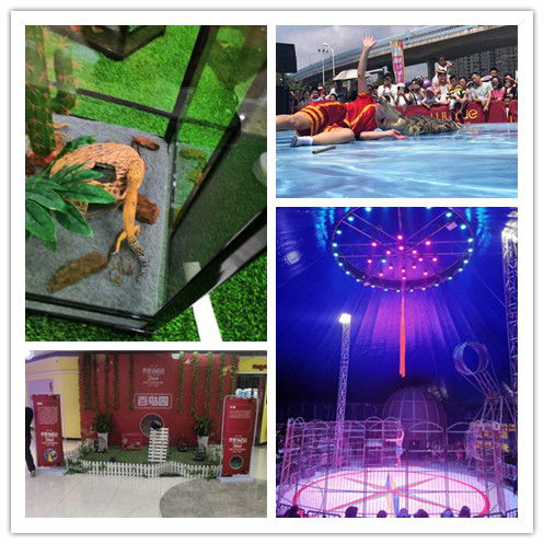 親子互動(dòng)馬戲團(tuán)表演出租抓緊預(yù)定租賃馬戲團(tuán)表演