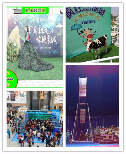 洛陽(yáng)市出租馬戲團(tuán)表演親子互動(dòng)