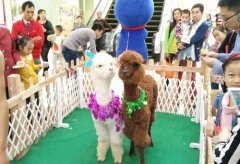 舉行一場萌寵動物展覽活動費(fèi)用明細(xì)