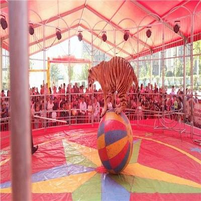 環球飛車表演出租一手資源三天多少錢郊區