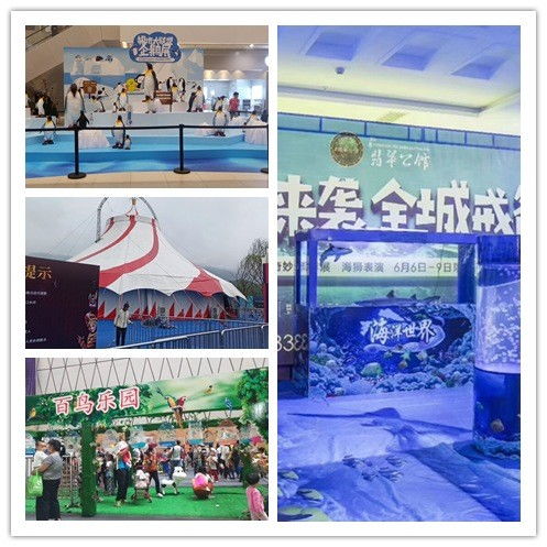 湖北漢川市萌寵展出租有沒有