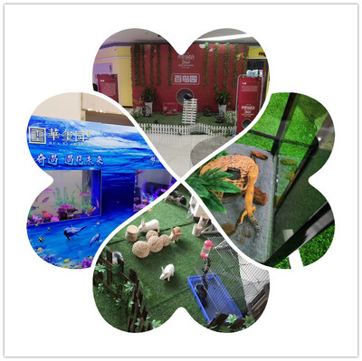 海獅表演出租現(xiàn)有檔期出租海獅表演的豐富多彩2022【今日熱點事件】