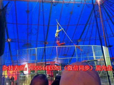 貴州黔東南苗族侗族自治州錦屏縣哪里有出租海獅的嗎?_山東誠信動物租賃 - 商國互聯(lián)網(wǎng)