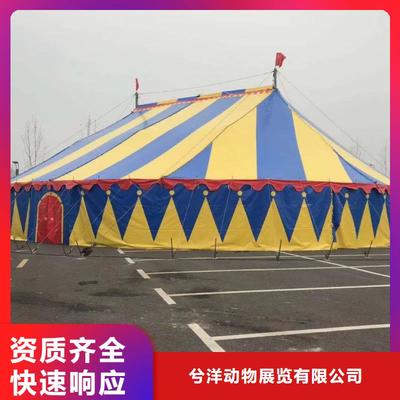 馬戲團/羊駝【海獅表演出租】實力公司