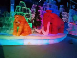 南昌互動科技展一手現貨出租出售,新穎冰雕展租賃