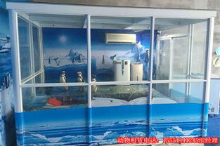 馬戲表演什么價格重慶馬戲團(tuán)表演租賃7天多少錢