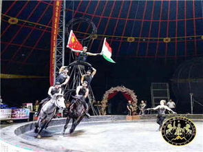 馬戲團(tuán)與冰雕展出租賃價(jià)格全解析