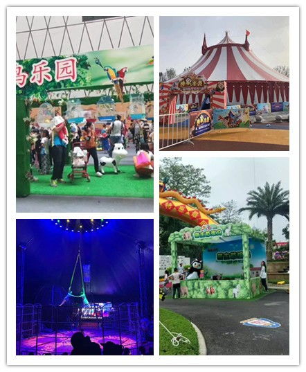 東臺市周邊羊駝出租租賃、海洋展與馬戲團出租賃服務詳解